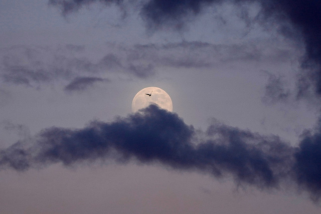 Белград, Сербия