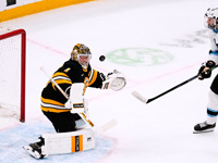 НХЛ. 20 сэйвов Суэймана. Достижение Веренски НХЛ. 20 сэйвов Суэймана. Достижение Веренски