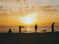 Воздействие естественного света улучшает обмен веществ