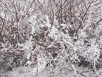 Снегопад на вершине Хермона, горный курорт закрыт