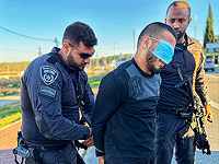 Задержан палестинский водитель, обошедший систему безопасности аэропорта 