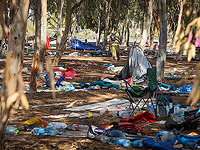 Вынесены приговоры мародерам, действовавшим 8 октября 2023 года на территории фестиваля 