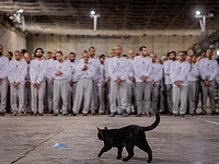 Законопроект о порядке суда над террористами 