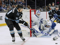 Достижение Шейфеле. Шутаут Хофера. Рекорд Гюнтера. Результаты матчей НХЛ