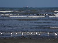 В Каспийском море терпит бедствие иранский сухогруз