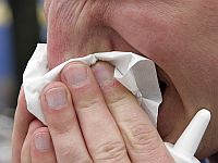 Кишечные бактерии защищают от вторичной пневмонии после гриппа