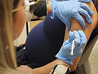 Вакцинация во время беременности защищает новорожденных от коклюша