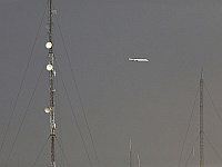 Иран открыл воздушное пространство после заявления Трампа об ослаблении подавления протестов