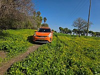 Велосипедист в тяжелом состоянии после аварии в Кирьят-Тивоне