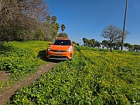 Велосипедист в тяжелом состоянии после аварии в Кирьят-Тивоне