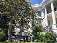 Источники в США: 