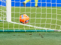 Сенсационное поражение 