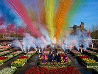 В Амстердаме раздали 200 тысяч бесплатных тюльпанов в честь Национального дня тюльпанов
