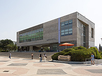 Израильские ученые показали, почему наши воспоминания не теряют убедительности со временем