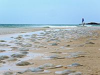 Нашествие медуз около Кейсарии. Фото
Нашествие медуз около Кейсарии. Фото