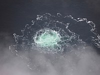 Германский суд отклонил просьбу подозреваемого в подрыве 