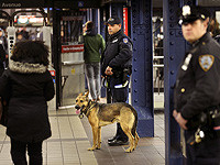 Хасид из Израиля пытался нелегально проникнуть на территорию США