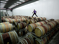 Светящийся биосенсор поможет виноделам точно контролировать качество вина