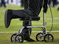 Исследование связывает садоводство со снижением риска развития артрита коленного сустава