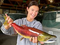 Сперма лосося станет предметом разбирательства в тель-авивском суде Сперма лосося станет предметом разбирательства в тель-авивском суде