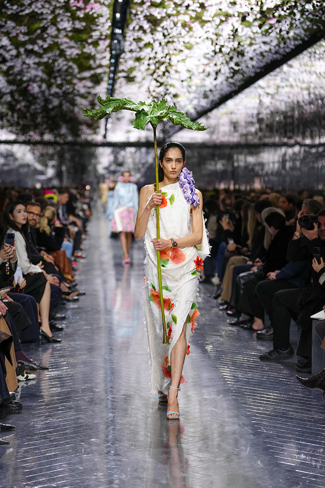 Коллекция Christian Dior 