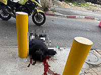 Попытка теракта к югу от Иерусалима, террорист застрелен