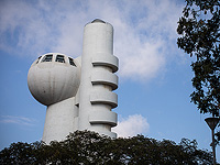 Технология израильских ученых позволяет создавать органы и ткани из собственных клеток человека