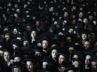 Журналист призвал религиозных сионистов не комплексовать перед ультраортодоксами Журналист призвал религиозных сионистов не комплексовать перед ультраортодоксами