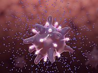 Наследственность и воспитание формируют наши иммунные клетки. Новое исследование