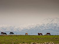 Хермон открыт для посетителей, но горнолыжный сезон еще не начался