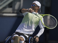 Теннис на колясках. Гай Сасон и Нильс Винк стали победителями Открытого чемпионата Австралии