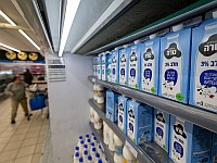 Торговые сети начали ограничивать покупку молока и молочных продуктов