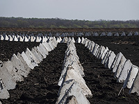 FT: гарантии Украине включают вооруженное противодействие США новой российской агрессии