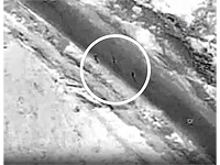 ЦАХАЛ и полиция задержали группу контрабандистов на границе с Египтом ЦАХАЛ и полиция задержали группу контрабандистов на границе с Египтом