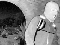 В Аризоне задержан возможный похититель матери известной телеведущей