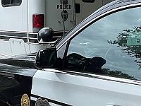 Массовое убийство и самоубийство во Флориде: у жертв русские или еврейские имена и фамилии