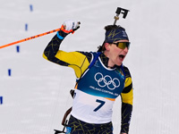 Олимпиада. Биатлон. В гонке преследования победил швед