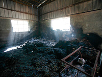 На юге Хевронского нагорья сгорела овчарня, палестинцы обвиняют евреев