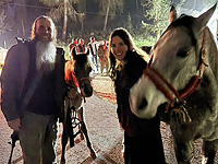 В Иудее полицейские и военные нашли лошадей, украденных с еврейской фермы