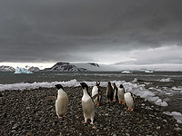 Бактерии из подземной ледяной пещеры оказались устойчивыми к современным антибиотикам