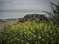 Прогноз: после солнечных выходных предстоит дождливая неделя, на Хермоне возможен снегопад Прогноз: после солнечных выходных предстоит дождливая неделя, на Хермоне возможен снегопад