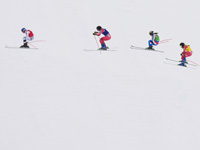 Олимпиада. Фристайл. В ски-кроссе повторение финала Пекинской олимпиады