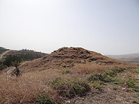 Древнейшая миграция из Африки, начавшаяся 1,9 млн лет назад, оставила след в долине Иордана