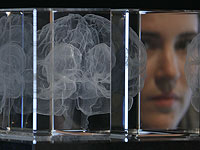 Как мозг разделяет и снова 