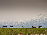 Слабый снегопад на вершине Хермона, горный курорт закрыт для посетителей
