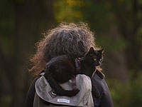 Домашние кошки имеют общие с людьми ключевые гены, вызывающие рак