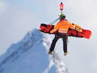 Заявление сборной США: 