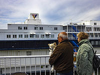 Минтранс организует входящие и выходящие эвакуационные рейсы по морю Минтранс организует входящие и выходящие эвакуационные рейсы по морю