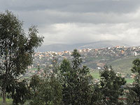 Ливанские СМИ сообщают, что силы ЦАХАЛа вошли в город Хиам