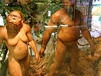 У неандертальцев была предвзятость в выборе партнеров для спаривания